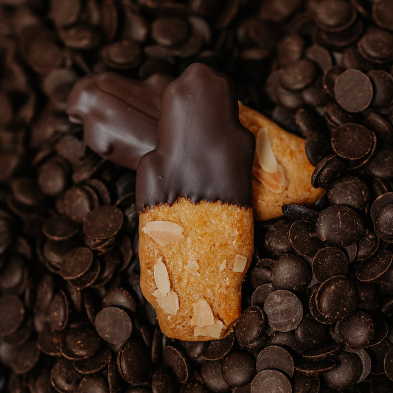 Handje gedipt in chocolade Suikervrij OKONO Philip's Biscuits